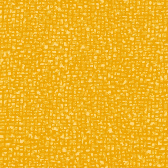 50087-22-1-0155Y000004enPnQAI.jpg