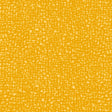 50087-22-1-0155Y000004enPnQAI.jpg