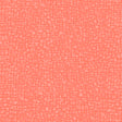 50087-34-1-0155Y000004enRIQAY.jpg