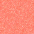 50087-34-1-0155Y000004enRIQAY.jpg