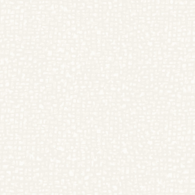 50087-42-1-0155Y000004enQeQAI.jpg