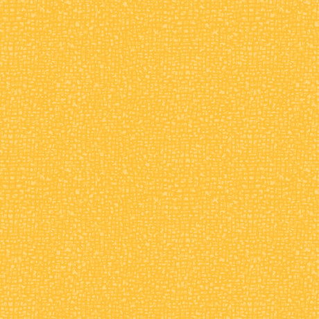 50087-89-1-0155Y000004enMmQAI.jpg