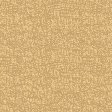50087-95-1-0155Y000004enMDQAY.jpg