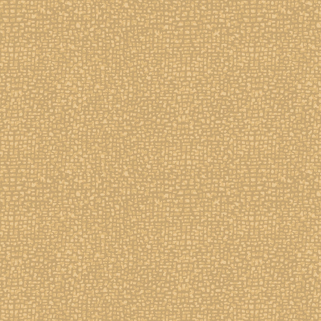 50087-95-1-0155Y000004enMDQAY.jpg