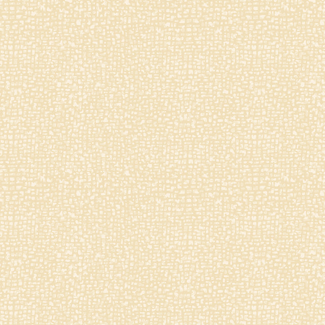 50087-97-1-0155Y000004enM3QAI.jpg