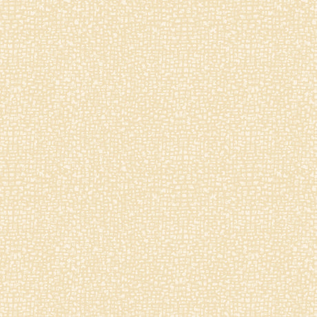 50087-97-1-0155Y000004enM3QAI.jpg