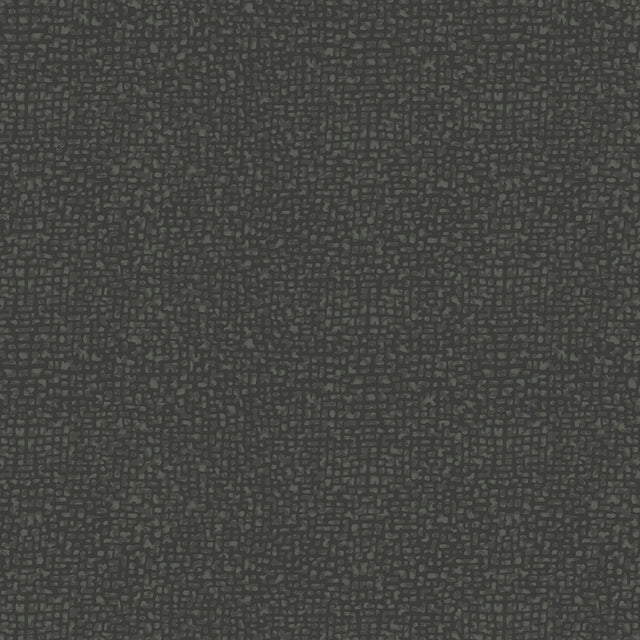 50087-98-1-0155Y000004enLtQAI.jpg