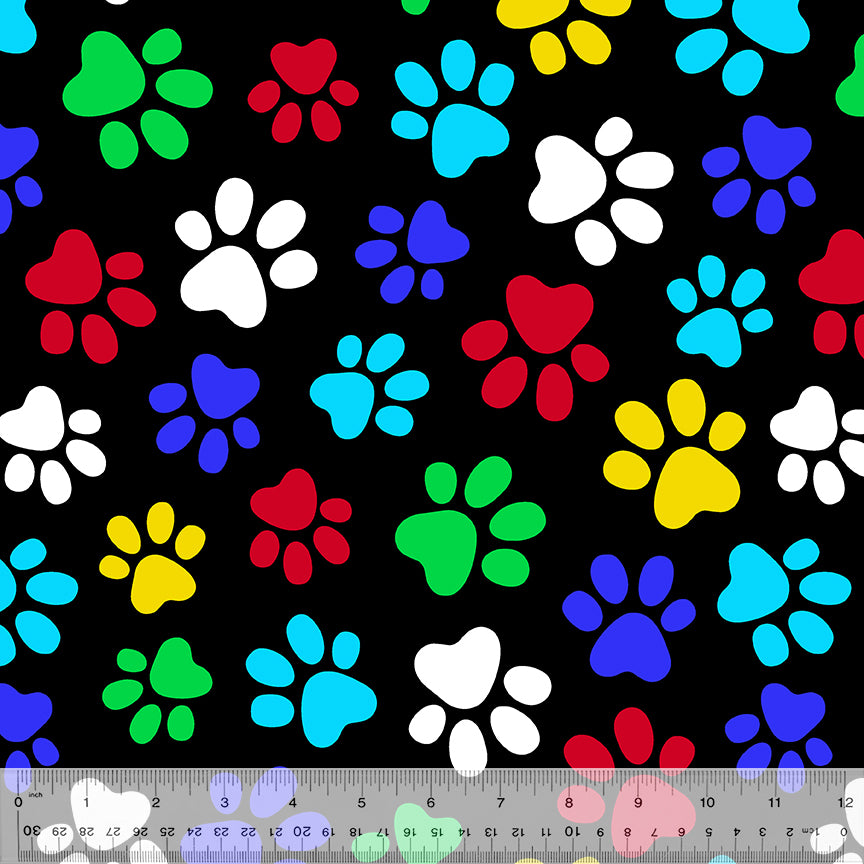 50752-X-1-0155Y000005jBkbQAE.jpg