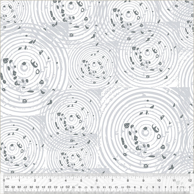 50815A-1-1-0155Y000005zYEfQAM.jpg