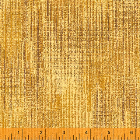 50962-23-1-0155Y000005rzTyQAI.jpg