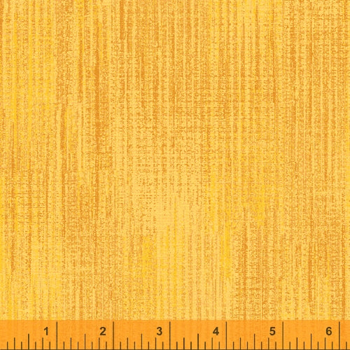 50962-24-1-0155Y000005rzV3QAI.jpg