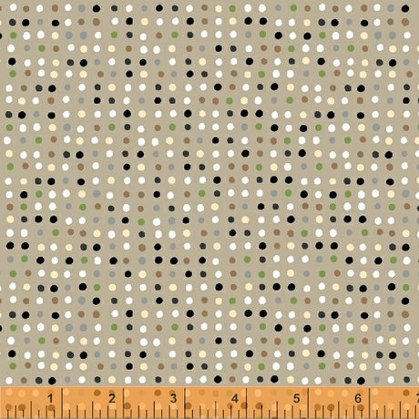 51735-4-1-015Ud00000850qoIAA.jpg