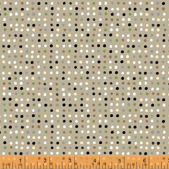 51735-4-1-015Ud00000850qoIAA.jpg