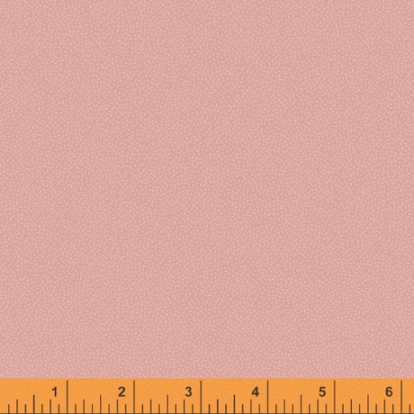 52091-2-1-0155Y000005j9XGQAY.jpg