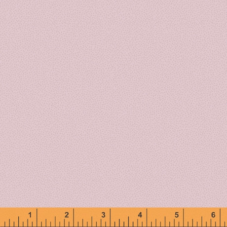 52091-3-1-0155Y000005j9XLQAY.jpg