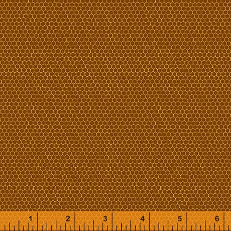 52092-11-1-0155Y000005j9Y0QAI.jpg