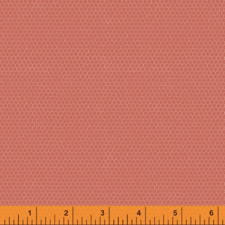 52092-12-1-0155Y000005j9Y4QAI.jpg