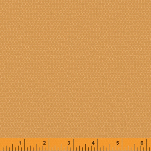 52092-16-1-0155Y000005j9YOQAY.jpg