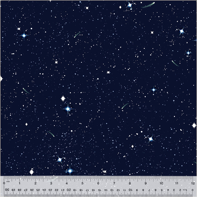 52113D-X-1-0155Y0000067mmTQAQ.jpg