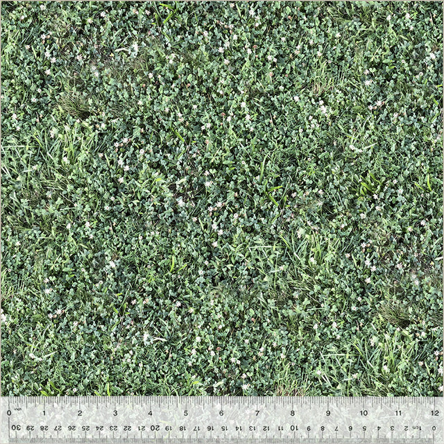 52118D-X-1-0155Y0000067mm4QAA.jpg