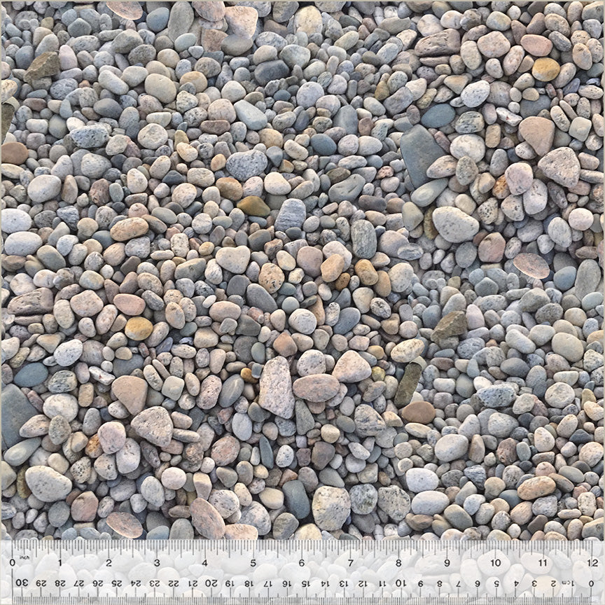 52123D-X-1-0155Y0000067mlfQAA.jpg
