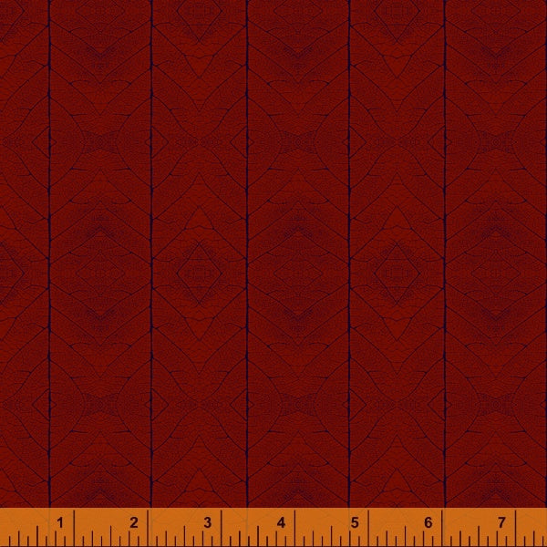 52353-2-1-015Ud000008bfZ6IAI.jpg