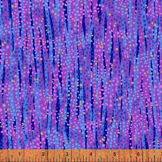 52495M-24-1-0155Y000005rzZ3QAI.jpg