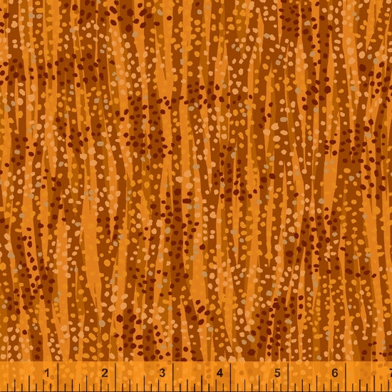 52495M-8-1-0155Y000005rzZwQAI.jpg