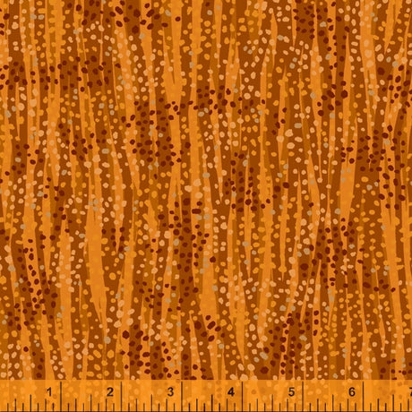 52495M-8-1-0155Y000005rzZwQAI.jpg