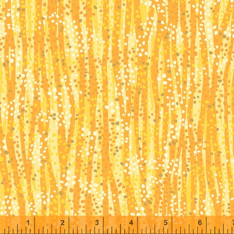 52495M-9-1-0155Y000005rza1QAA.jpg