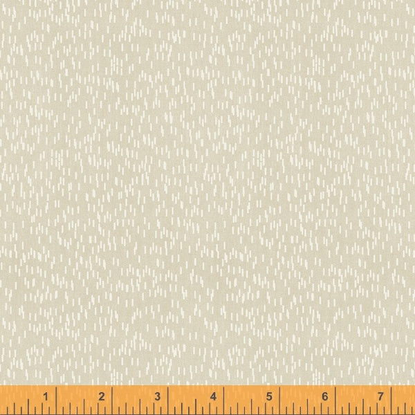 52505-3-1-015Ud000008cNv4IAE.jpg
