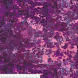 52814D-10-1-0155Y000005jARXQA2.jpg