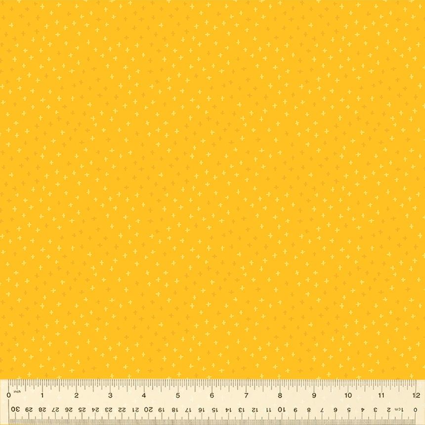53302-11-1-0155Y000005s2BxQAI.jpg