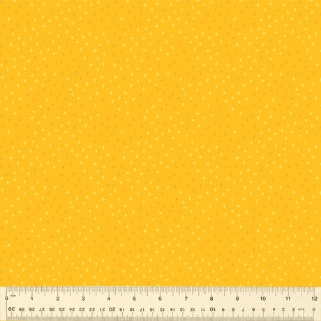 53302-11-1-0155Y000005s2BxQAI.jpg
