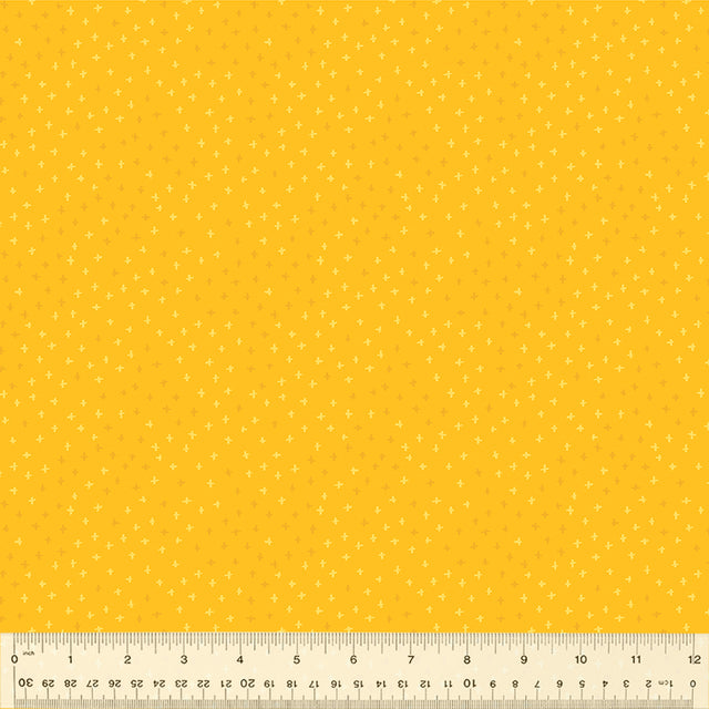 53302-11-1-0155Y000005s2BxQAI.jpg