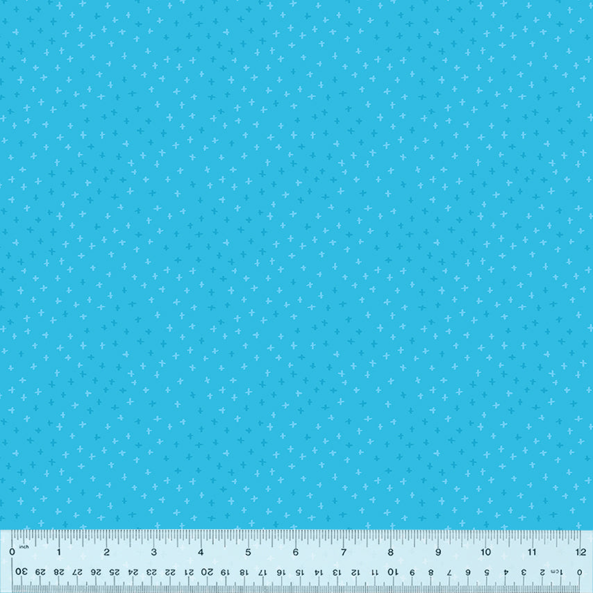 53302-13-1-0155Y000005s2C7QAI.jpg