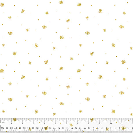 53309M-1-1-0155Y000005rycBQAQ.jpg