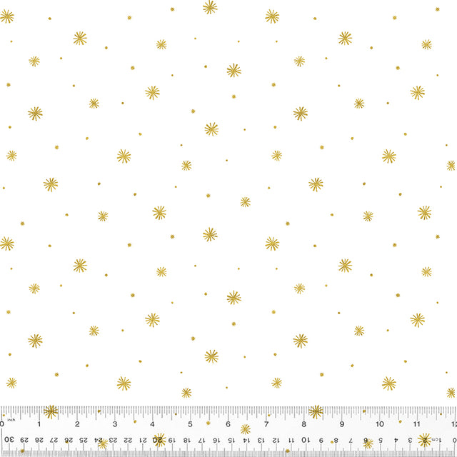 53309M-1-1-0155Y000005rycBQAQ.jpg