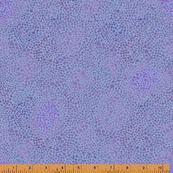 53375-5-1-015Ud000008FJiUIAW.jpg