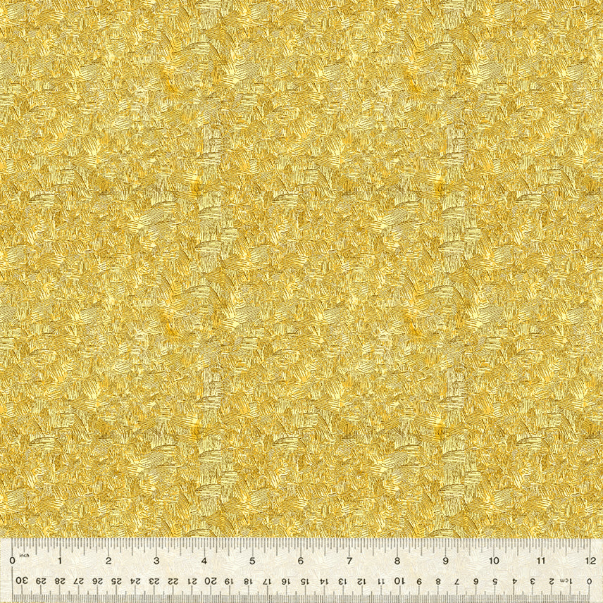 53441-1-1-0155Y000005ryDGQAY.jpg