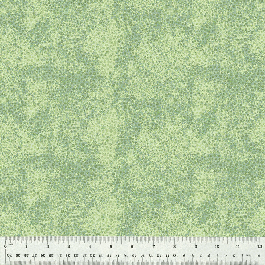 53459-10-1-0155Y000005H4nUQAS.jpg