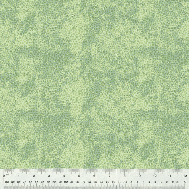 53459-10-1-0155Y000005H4nUQAS.jpg