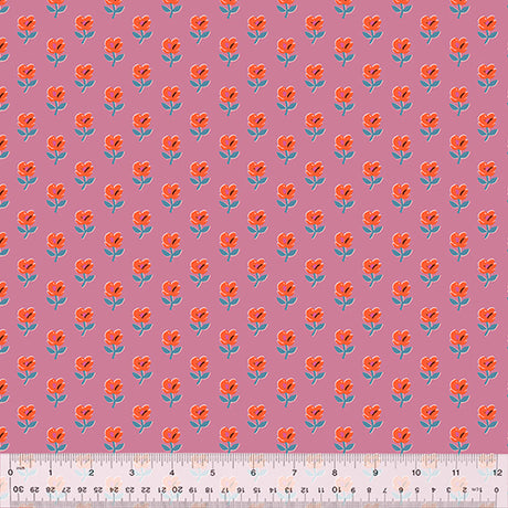 53473-5-1-0155Y000005s0KTQAY.jpg