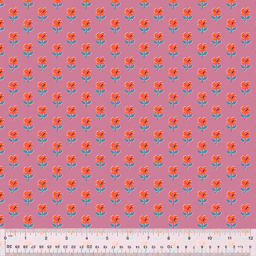 53473-5-1-0155Y000005s0KTQAY.jpg
