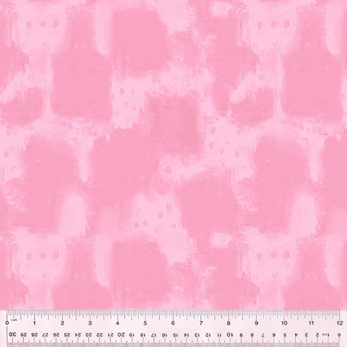 53492-17-1-0155Y000005s0FxQAI.jpg