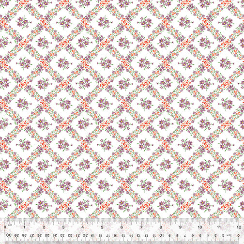 53516-1-1-0155Y000005s0MtQAI.jpg
