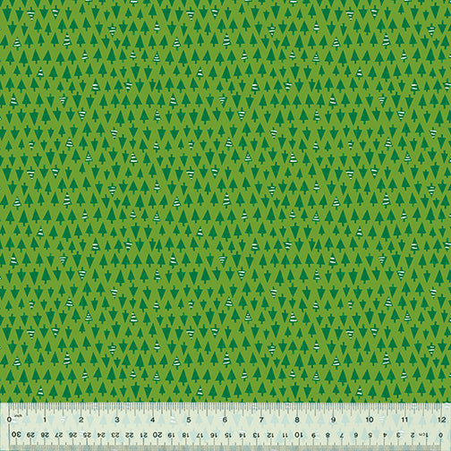 53552-4-1-0155Y000005s0LqQAI.jpg
