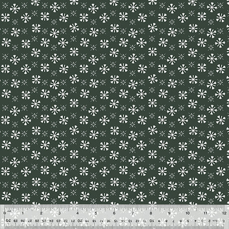 53553-2-1-0155Y000005s0LvQAI.jpg