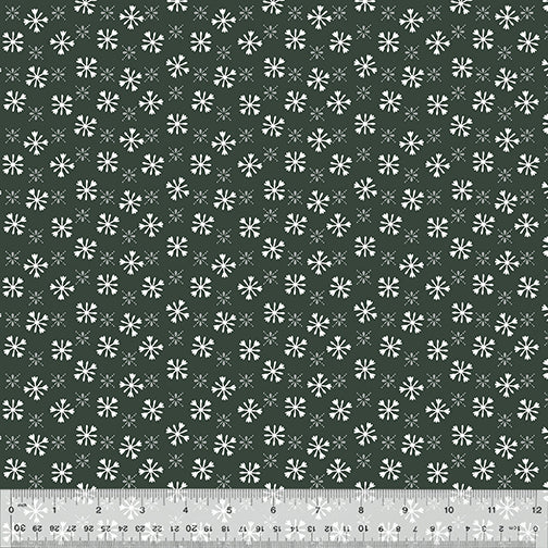 53553-2-1-0155Y000005s0LvQAI.jpg