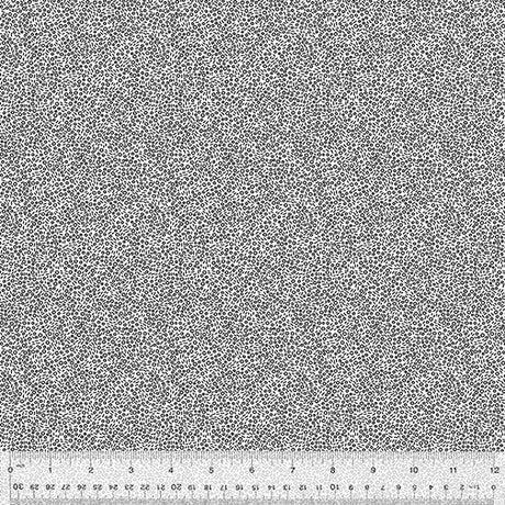 53561-1-1-0155Y000005s0NcQAI.jpg